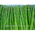 fresh frozen green asparagus